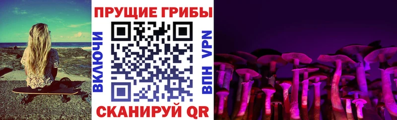 это состав  мега ссылка  Красногорск  Псилоцибиновые грибы Magic Shrooms 
