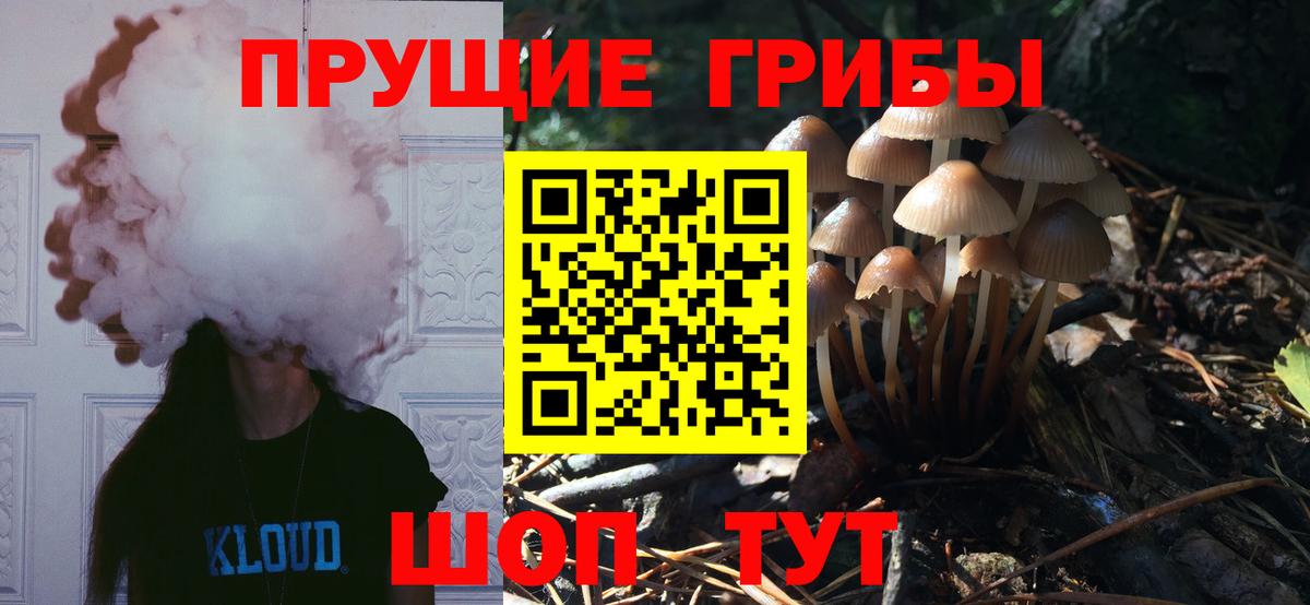Галлюциногенные грибы Psilocybine cubensis  Вход с VPN  Галлюциногенные грибы ЛСД  Красногорск 